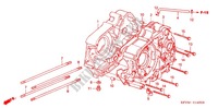 CRANKCASE (C100) for Honda EX5 DREAM 100, Kick start 2011