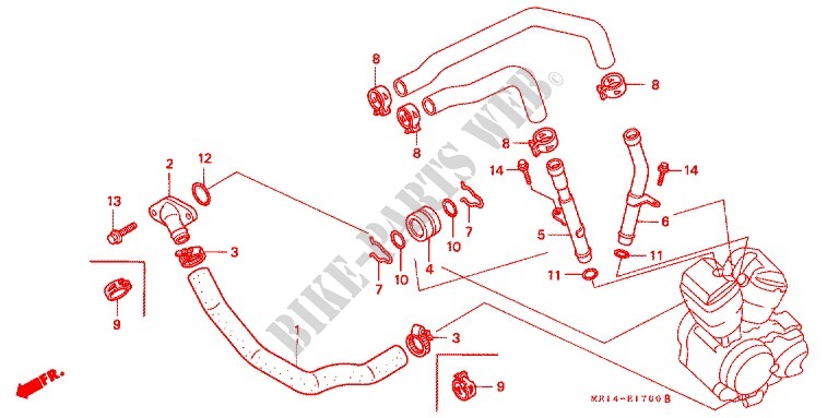WATER HOSE for Honda VLX SHADOW 600 1989