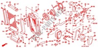 RADIATOR for Honda VTX 1800 R Black crankcase, Chromed forks cover, Radiato chrome side cover 2006