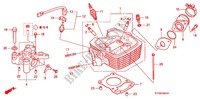 CYLINDER HEAD (CORPS DE PAPILLON) for Honda CBF 125 M STUNNER Front brake disk 2009