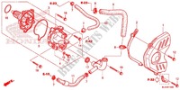 LEFT CRANKCASE COVER   ALTERNATOR (2) for Honda CBR 600 RR ABS RED 2015