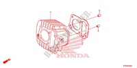 CYLINDER for Honda CRF 110 2016