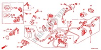 WIRE HARNESS/BATTERY for Honda BENLY 50 2012