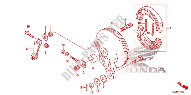 REAR BRAKE PANEL   SHOES for Honda EX5 110 Kick start, carburetor 2013
