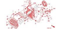 RADIATOR for Honda PCX 125 S PRESTIGE 2011