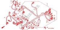 WIRE HARNESS (AVANT) for Honda RVT 1000 R RC51 2001