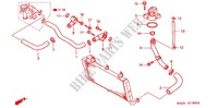 WATER HOSE for Honda ST 1100 ABS II 1999