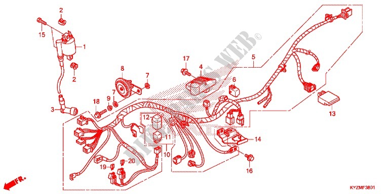 WIRE HARNESS (AFS125MCSG/MCRG) for Honda FUTURE 125 Casted wheels, Rear brake drum 2016