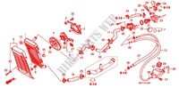 RADIATOR for Honda VT 1300 STATELINE ABS 2013