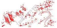 RADIATOR for Honda VT 1300 C ABS 2010