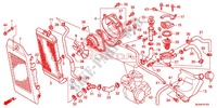 RADIATOR (VT750C/CA/C2/C2B/C2F/CS/C2S) for Honda SHADOW VT 750 SPIRIT 2013