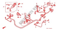 WIRE HARNESS/BATTERY for Honda WW 50 TOPIC PRO 1995