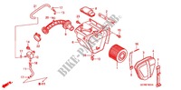 AIR FILTER (XZ508/9) for Honda APE 50 2012