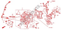 CYLINDER HEAD (Z50J9,B,C,E) for Honda MONKEY 50 LIMITED 600x 2014