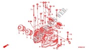 CYLINDER HEAD COVER for Honda XR 650 L 2009